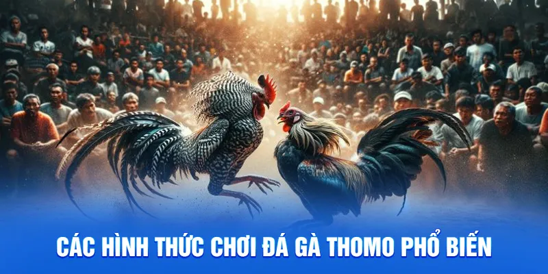 Đá Gà Thomo - Cá Cược Trực Tuyến, Trả Thưởng Nhanh 2025 2 Các hình thức chơi đá gà thomo phổ biến