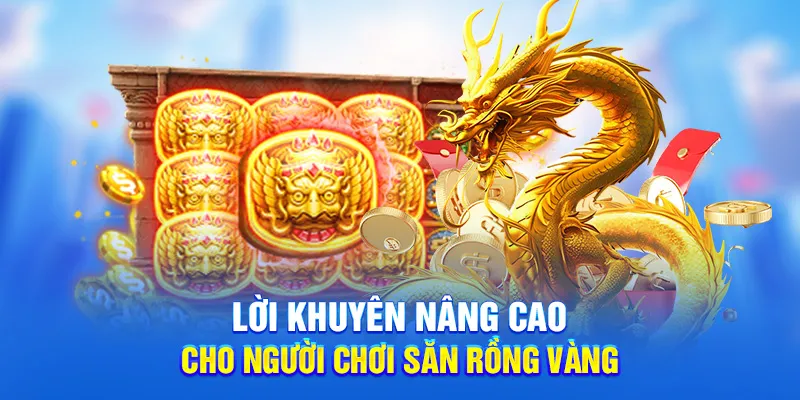 Lời khuyên nâng cao cho người chơi săn rồng vàng